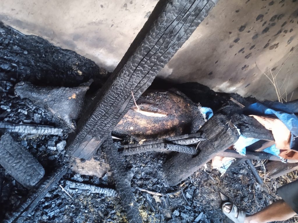 गुल्मीमा आगलागी : गोठ जलेर २ लाख बराबरको क्षति, पशुचौपाया मृत